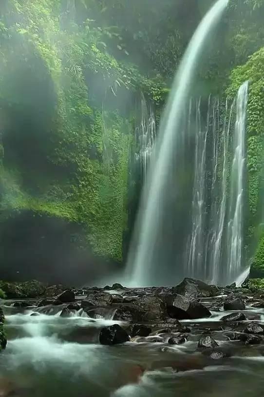 诉前调解除果农之忧