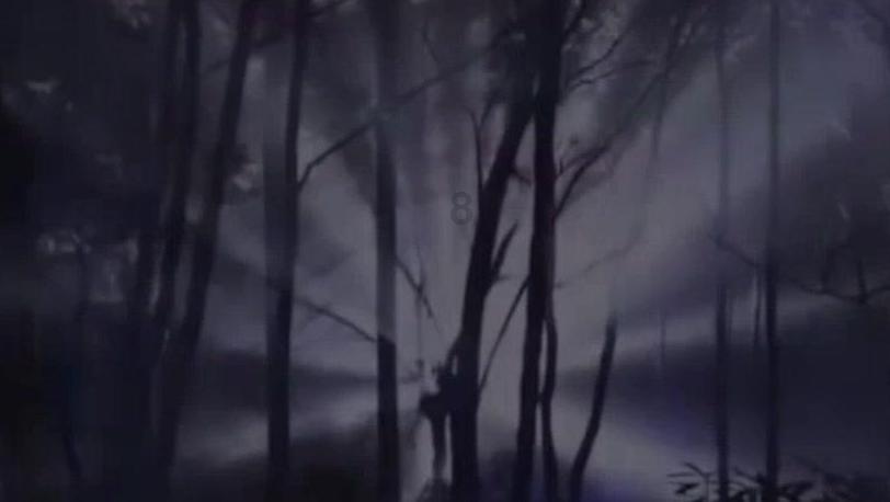 妙鸭相机app下载官网