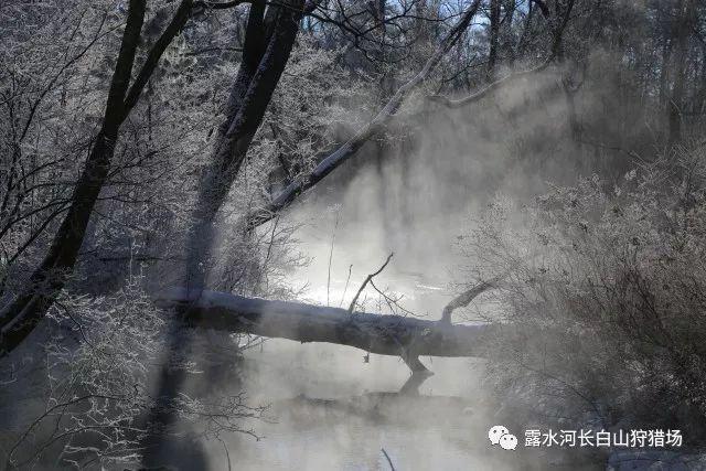 冬春季节呼吸道疾病高发 这份用药指南请收下