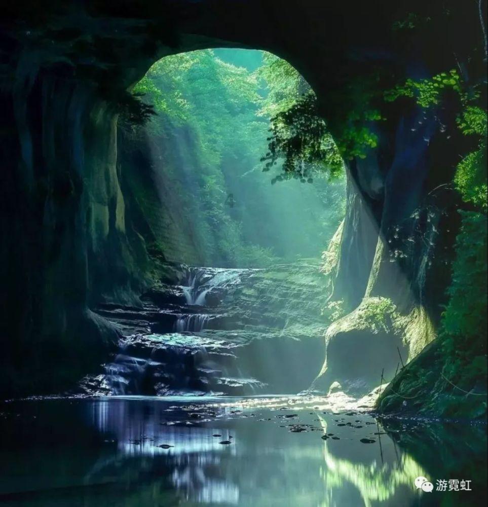 春雨直播app