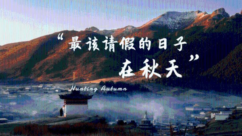 小猫钓鱼开船版最新版下载