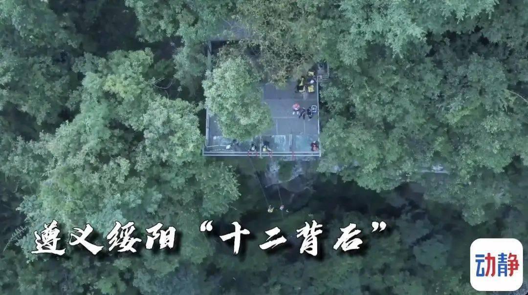 88影视