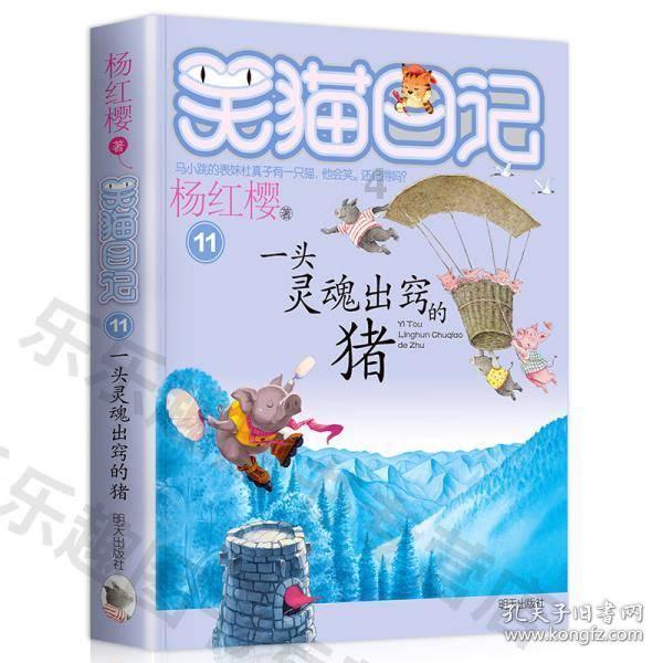 自由小迷宫