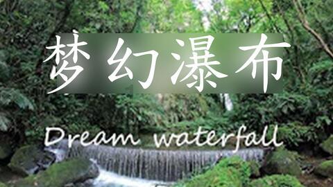敏捷的白球