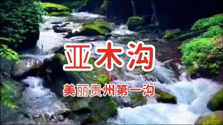 小猫钓鱼游戏龙王版有船