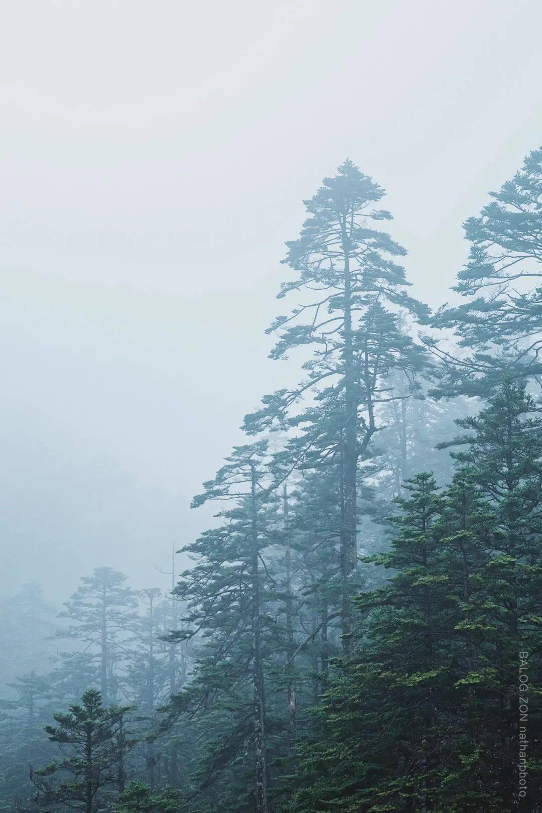幻唐志手游