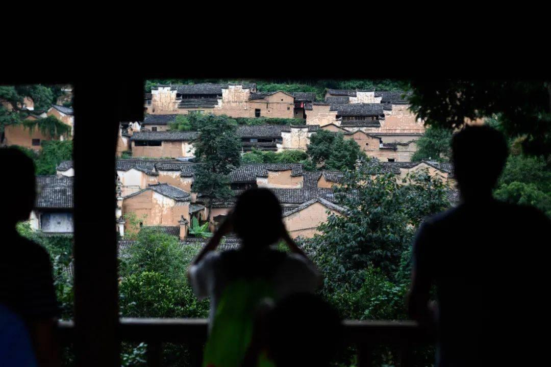 拯救小萌虎