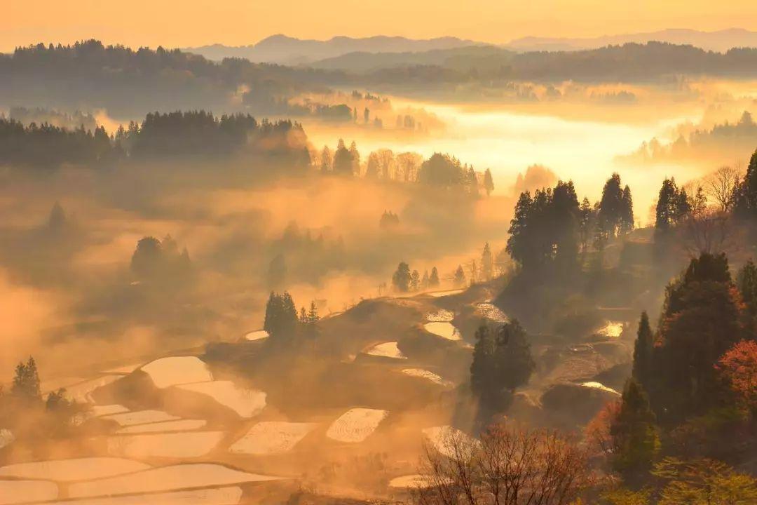沪江开心词场
