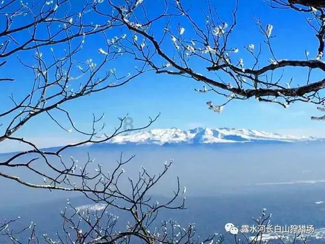 中国概念股收盘:乐信涨超10%、哔哩哔哩涨超9%、阿里巴巴,百度,京东涨超7%
