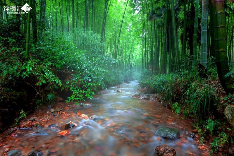 2024春节山东乡村文化旅游节启动 曹县王集镇开展送春联活动