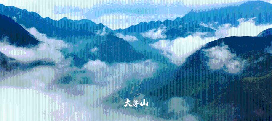 沪江开心词场