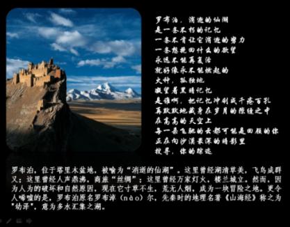 小猫钓鱼正版下载中文版