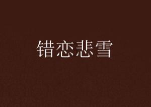 “群众工作永远在路上”——民警老李的社区工作信条