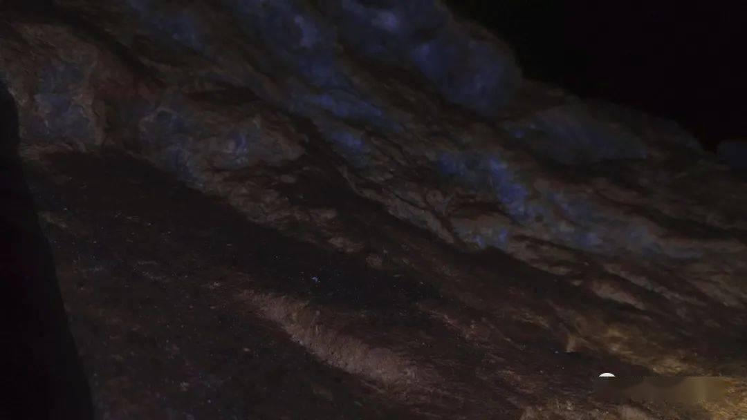 小猫钓鱼游戏龙王版有船