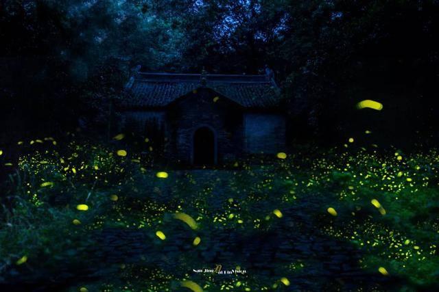 “延时执法”严管夜间流动摊贩