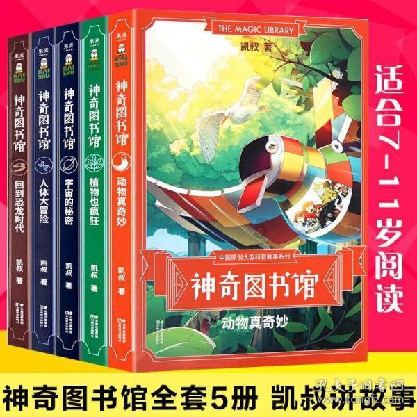 小猫钓鱼游戏龙王版有船