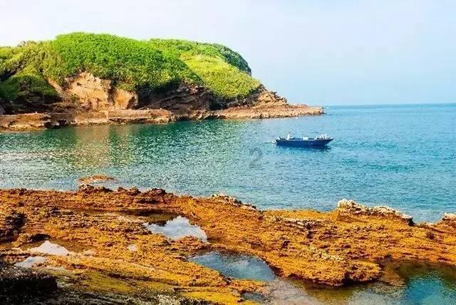 全民剧本大师内置菜单