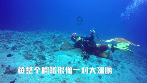 春雨直播app