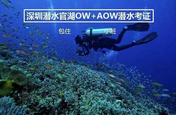 2024新能源加速变局,合资品牌颓势尽显