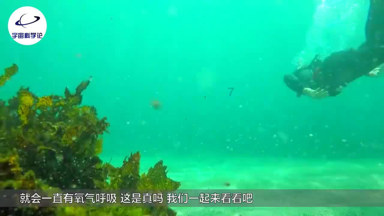 浩鲸科技受邀参加中国电信昆仑生态开发者大会,共筑开发者生态
