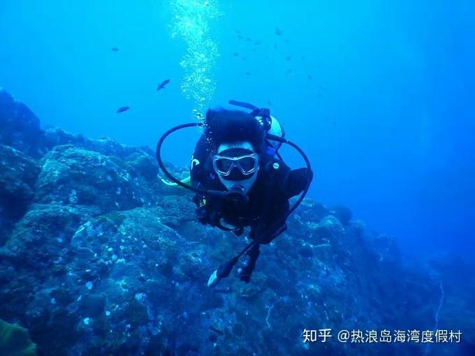 细胞分裂6