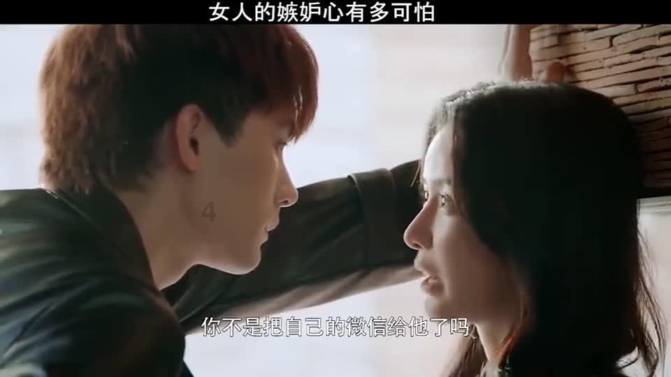 萌宠大连接
