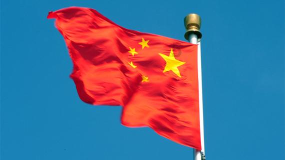 搬家住了三个月，半夜却被大金毛敲门惊醒，竟然是上一户丢弃的！