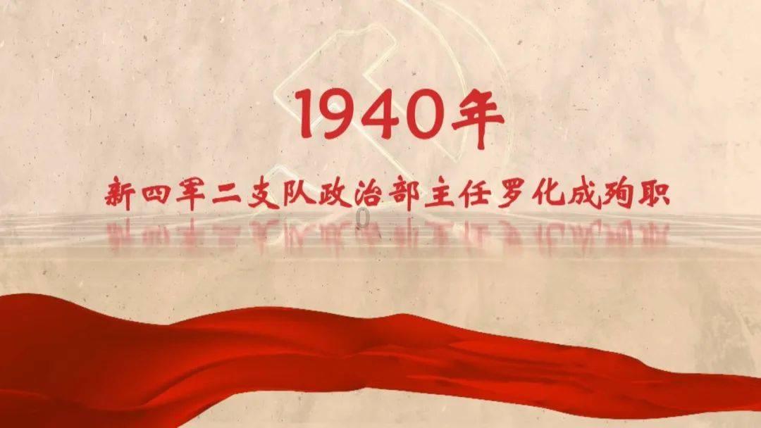 呆萌铲屎官开启主子新功能,网友笑翻:这琴的音色不错哦