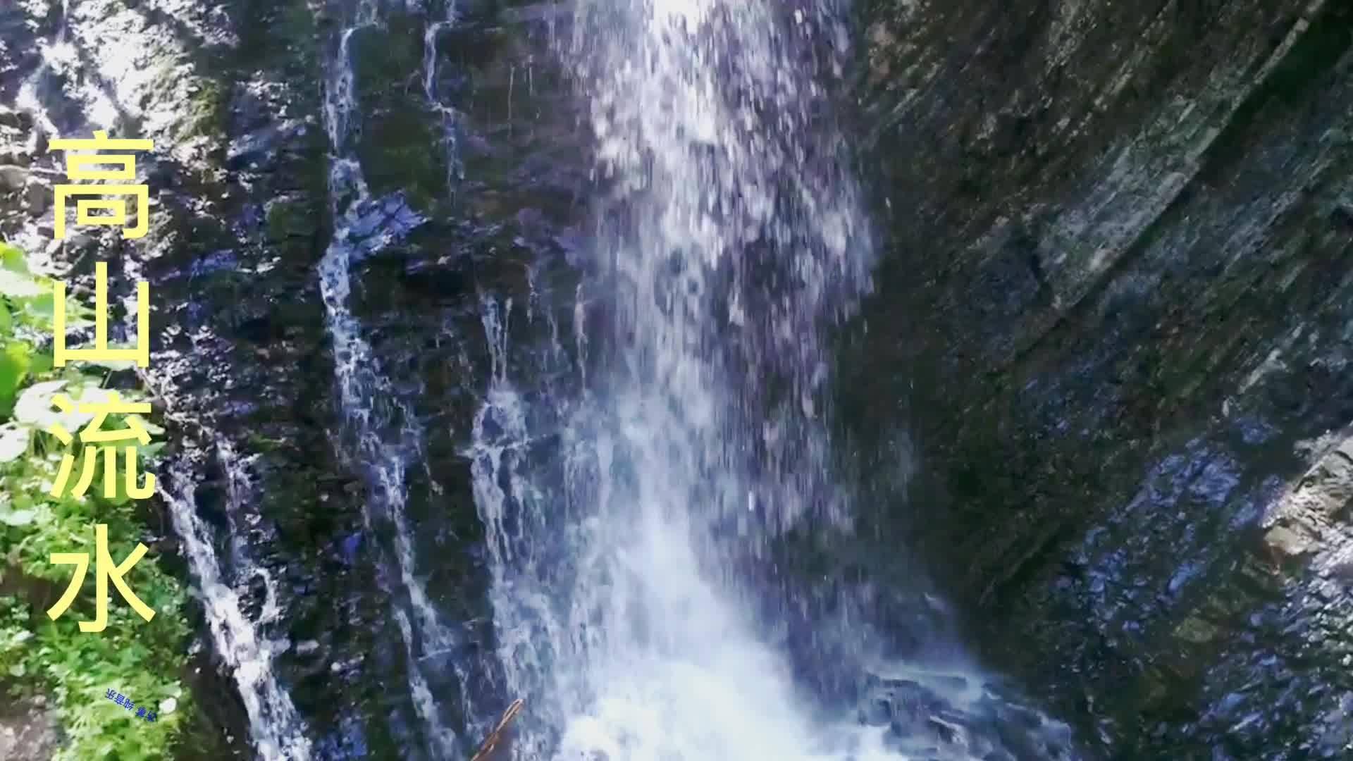 小猫钓鱼游戏龙王版有船
