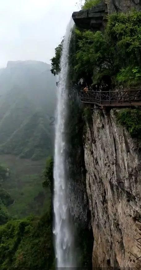 甘泉堡税务局:“税动能”为自贸试验区建设助跑添力