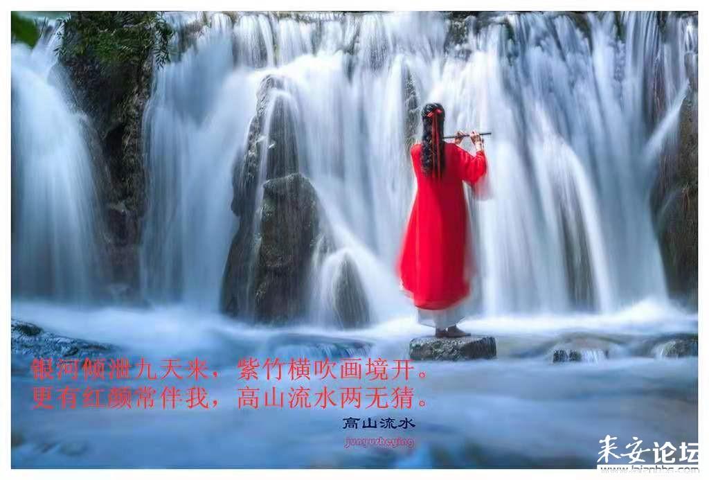 蓝狐视频