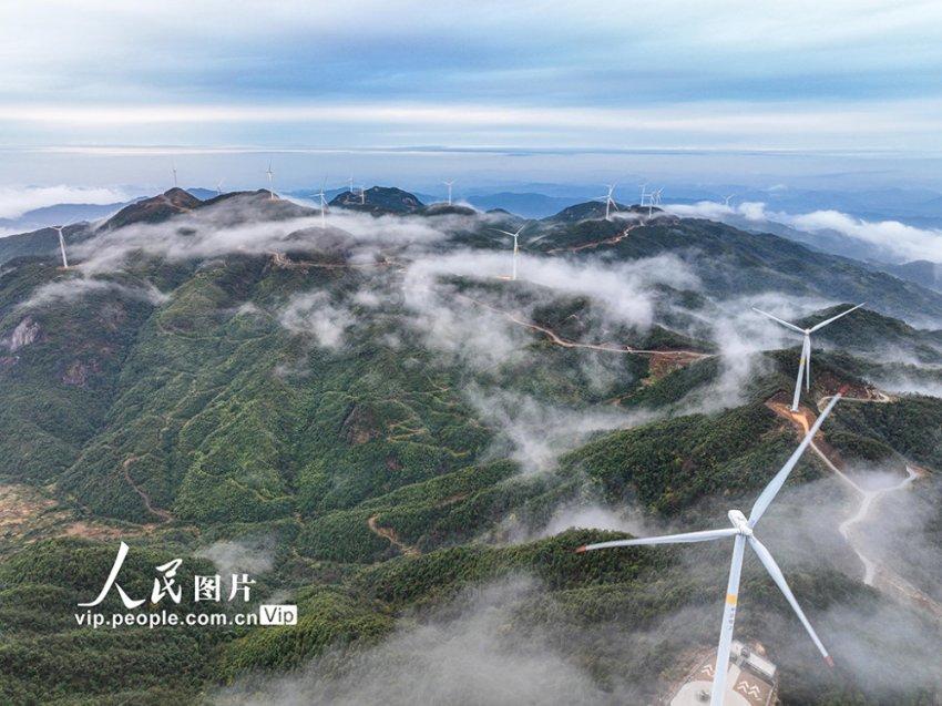 泰山区官岭民宿获评全国乙级旅游民宿