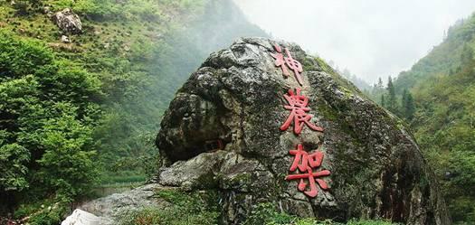 球球大作战下载最新版