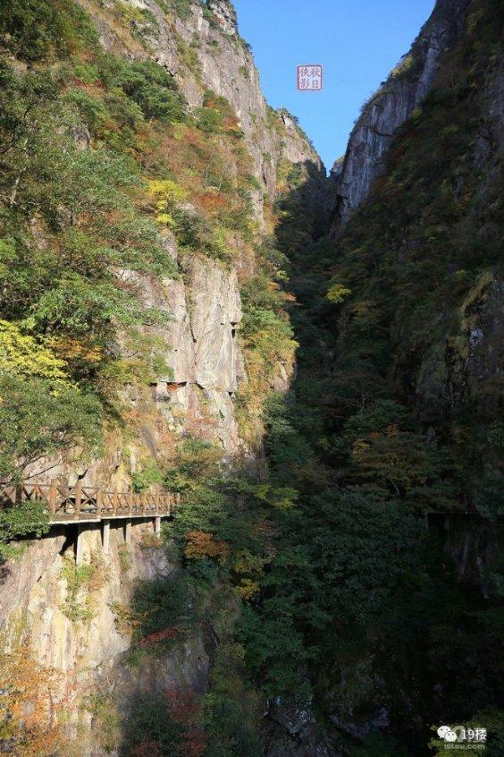 《幻兽帕鲁》古代科技点升级加点介绍