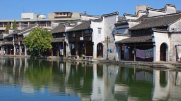 动物帮帮忙保卫家园