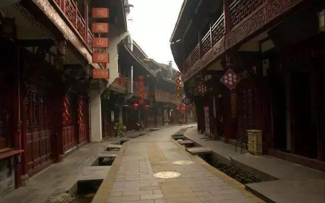 蘑菇对植物神经紊乱:利大于弊还是弊大于利?