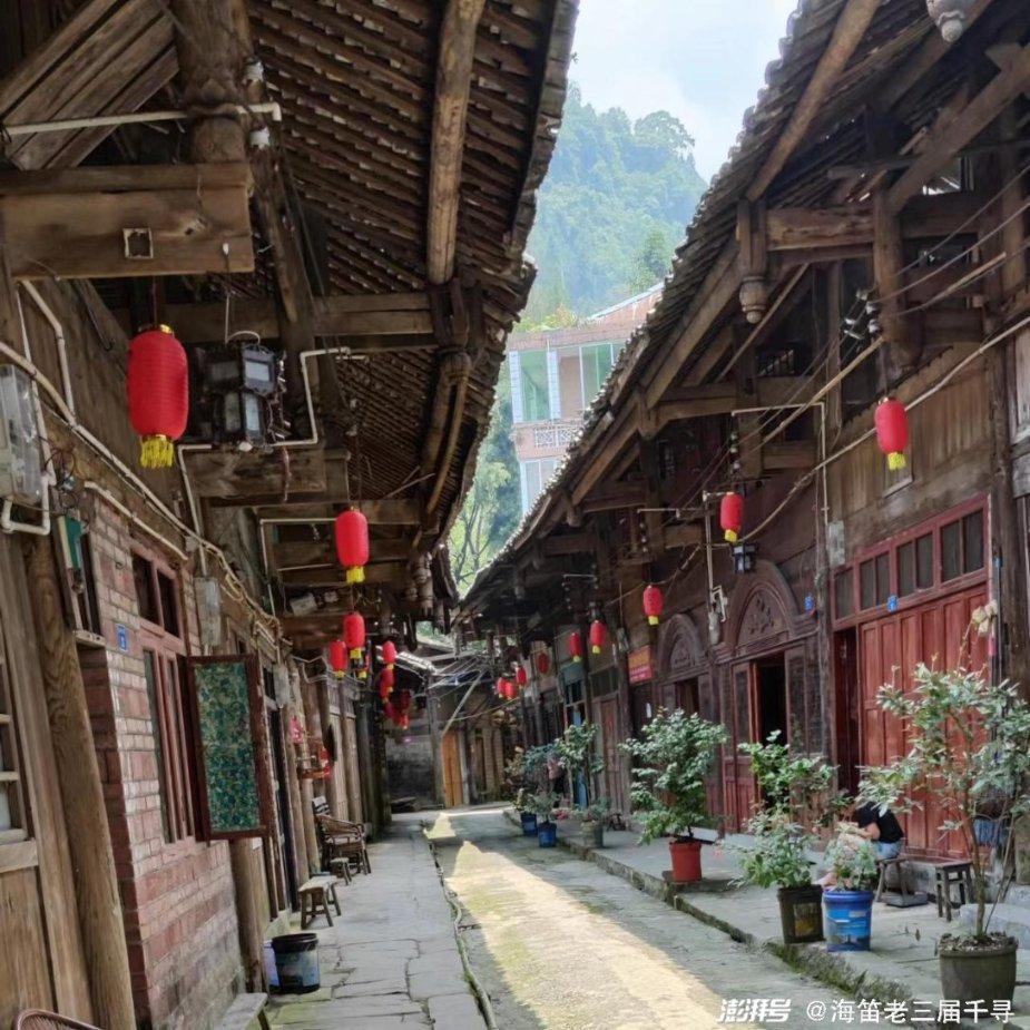 春雨直播app