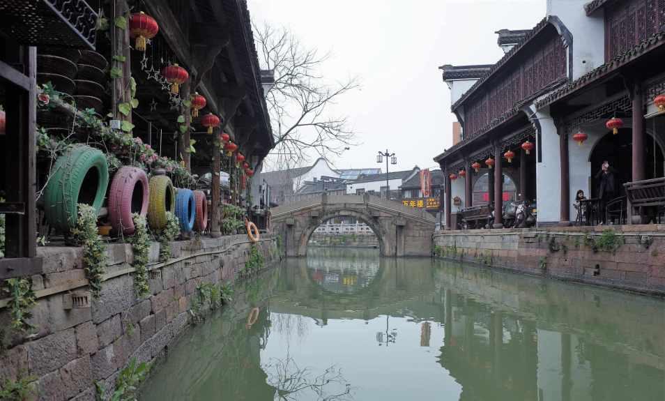 富民县永定街道 种植核桃3200余亩实现乡村“绿富美”
