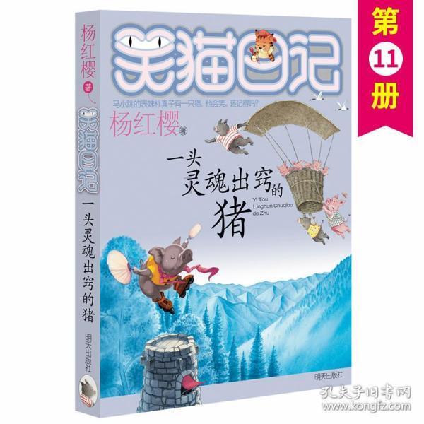 阿富汗重申:拒绝接受联合国特使