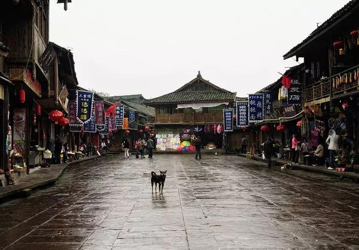 水皮：今年冬天很冷，我本来从不穿秋裤的