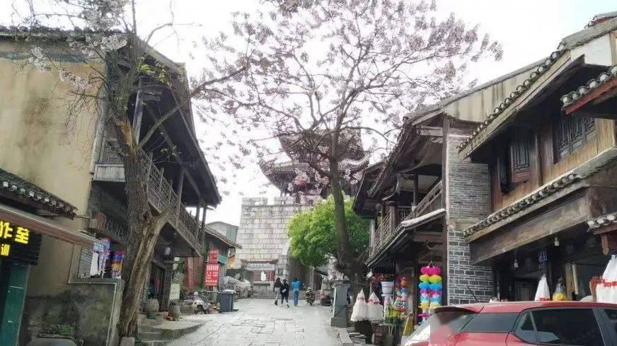 全民剧本大师内置菜单
