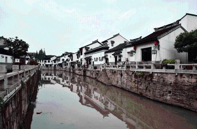 探索答案,尽在鸭子和狗狗一起长大,主人假装打狗狗的时候,鸭子的反应让人暖心蜗牛问答平台