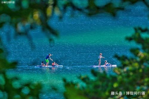 大鹰森林逃生