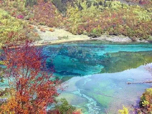 虫虫助手下载