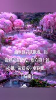 袁心玥王媛媛津沪决赛第三回合精彩得分集锦:拦网表现相当神勇